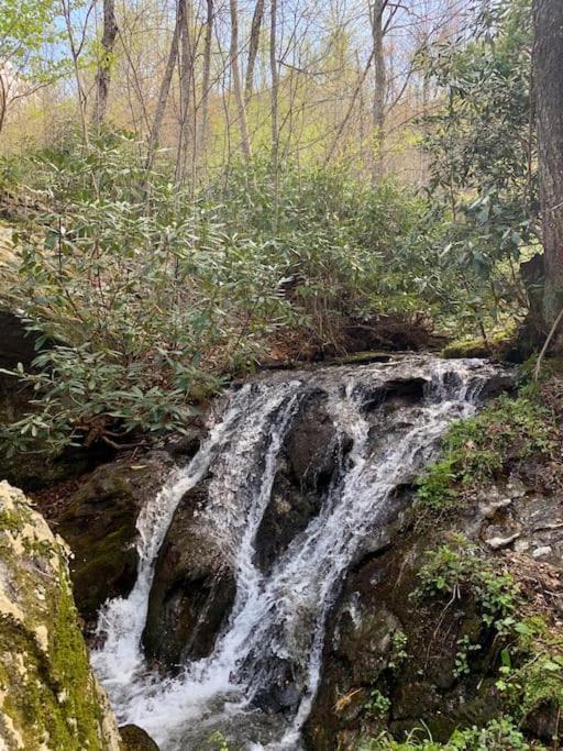 Blue Ridge Parkway Panoramic Paradise-60 Mile View Fancy Gap Exterior foto